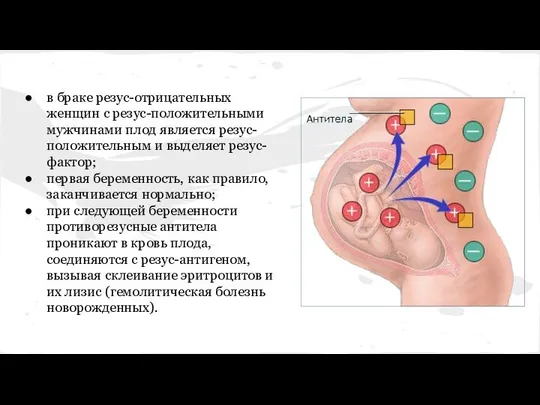 в браке резус-отрицательных женщин с резус-положительными мужчинами плод является резус-положительным и