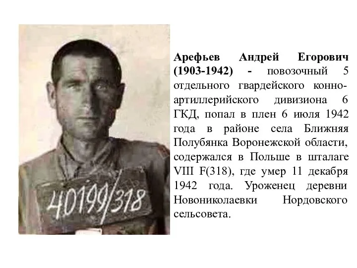 Арефьев Андрей Егорович (1903-1942) - повозочный 5 отдельного гвардейского конно-артиллерийского дивизиона
