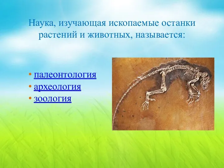 Наука, изучающая ископаемые останки растений и животных, называется: палеонтология археология зоология
