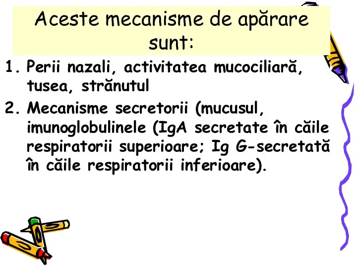 Aceste mecanisme de apărare sunt: Perii nazali, activitatea mucociliară, tusea, strănutul