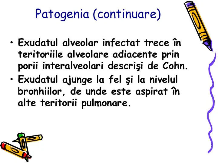 Patogenia (continuare) Exudatul alveolar infectat trece în teritoriile alveolare adiacente prin