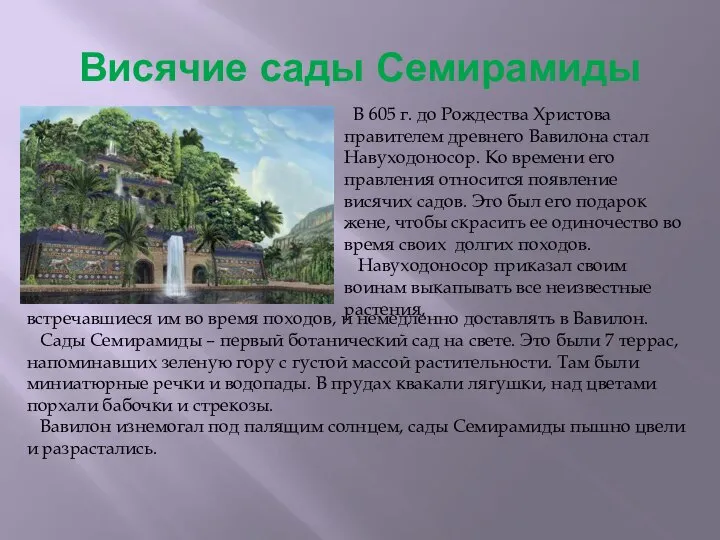 Висячие сады Семирамиды В 605 г. до Рождества Христова правителем древнего