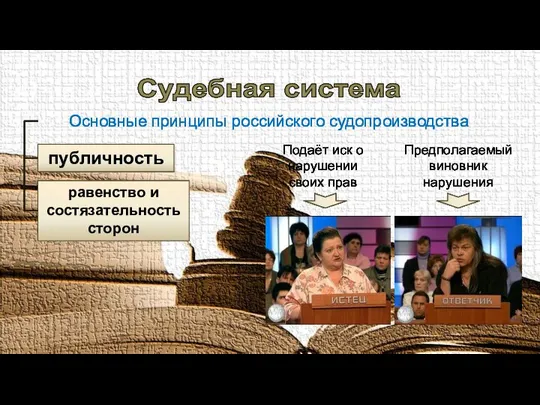 Судебная система Основные принципы российского судопроизводства публичность равенство и состязательность сторон