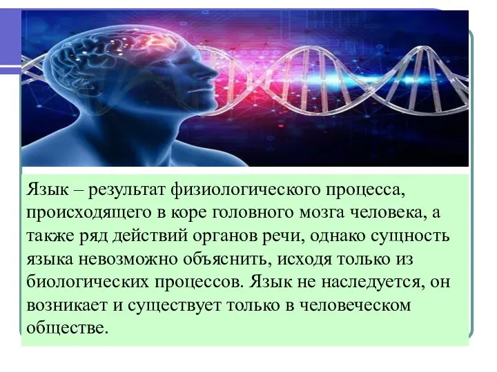 Язык – результат физиологического процесса, происходящего в коре головного мозга человека,