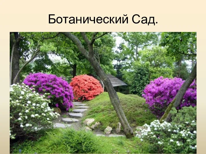 Ботанический Сад.