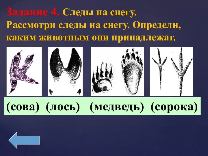 Задание 4. Следы на снегу. Рассмотри следы на снегу. Определи, каким