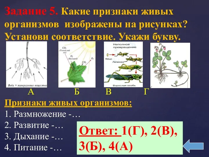 Задание 5. Какие признаки живых организмов изображены на рисунках? Установи соответствие.