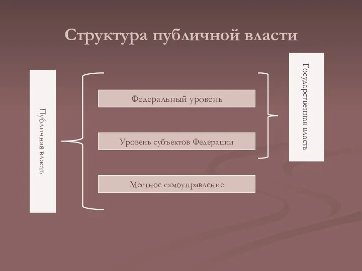 Структура публичной власти Публичная власть Местное самоуправление Федеральный уровень Уровень субъектов Федерации Государственная власть