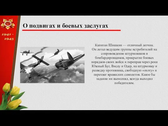 О подвигах и боевых заслугах Капитан Шишкин — отличный летчик. Он