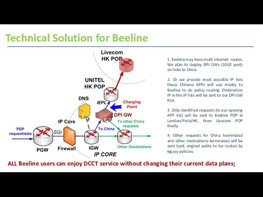 Technical Solution for Beeline 1. Beeline may have multi Internet routes.