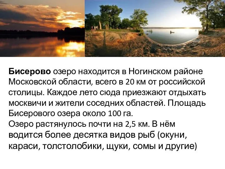 Бисерово озеро находится в Ногинском районе Московской области, всего в 20