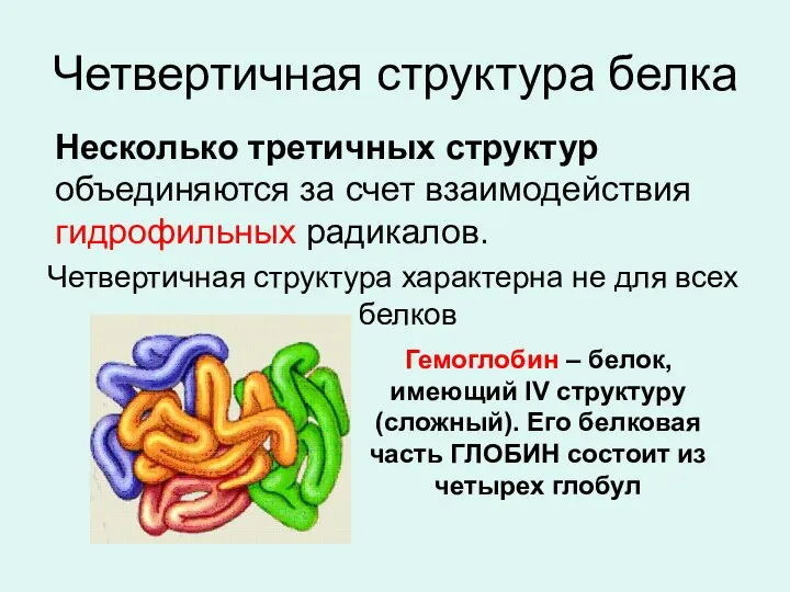 Четвертичная структура белка Несколько третичных структур объединяются за счет взаимодействия гидрофильных