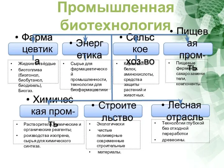 Промышленная биотехнология