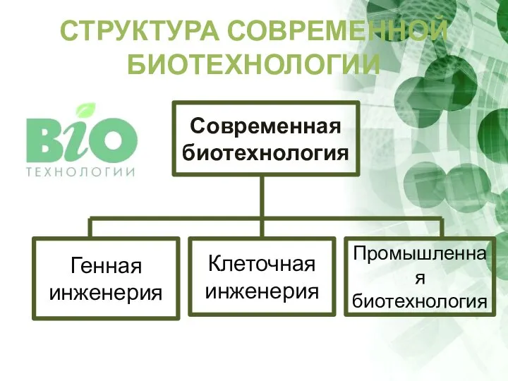 СТРУКТУРА СОВРЕМЕННОЙ БИОТЕХНОЛОГИИ Современная биотехнология Генная инженерия Клеточная инженерия Промышленная биотехнология