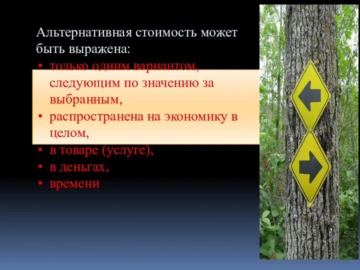 Альтернативная стоимость может быть выражена: только одним вариантом, следующим по значению