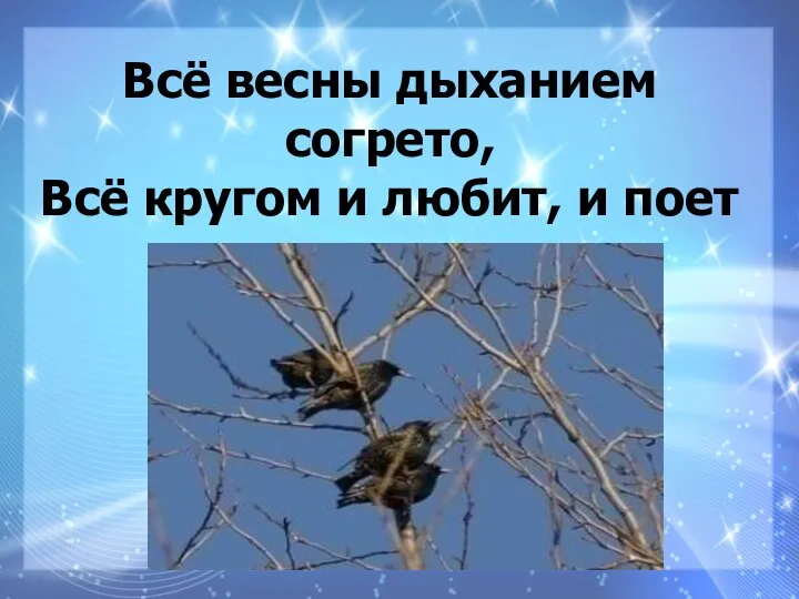 Всё весны дыханием согрето, Всё кругом и любит, и поет