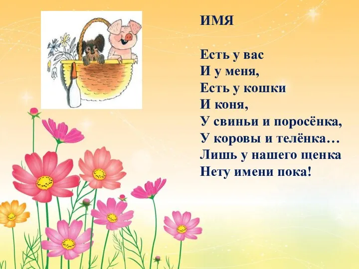 ИМЯ Есть у вас И у меня, Есть у кошки И