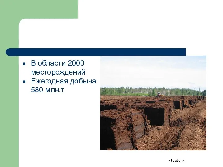 Торф В области 2000 месторождений Ежегодная добыча 580 млн.т