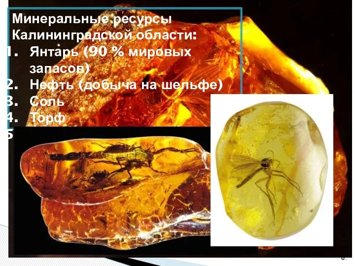 Минеральные ресурсы Калининградской области: Янтарь (90 % мировых запасов) Нефть (добыча