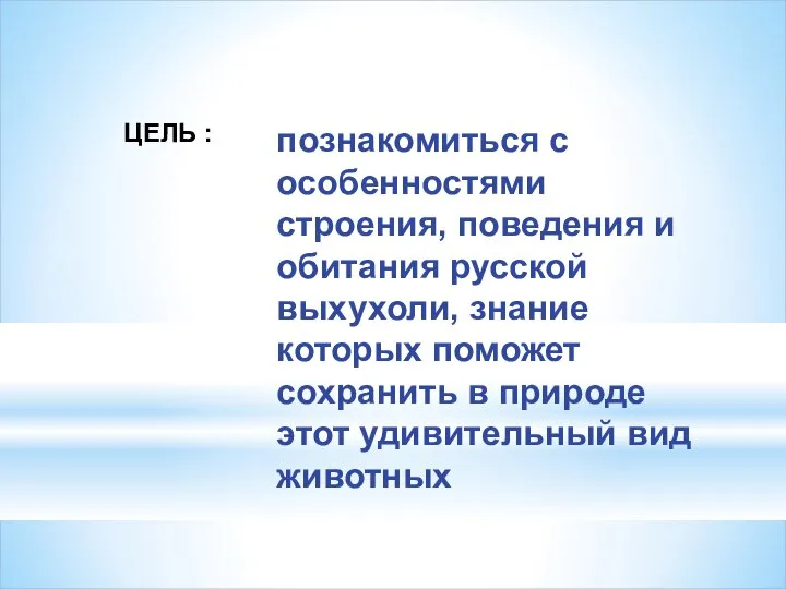 познакомиться с особенностями строения, поведения и обитания русской выхухоли, знание которых