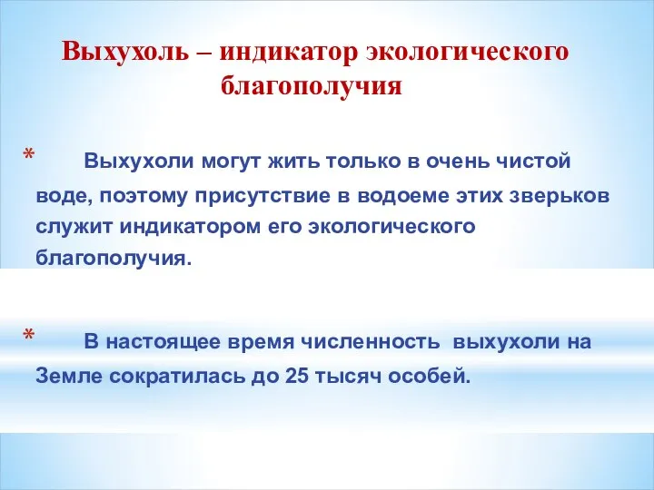 Выхухоли могут жить только в очень чистой воде, поэтому присутствие в