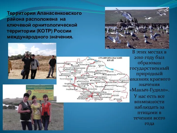 Территория Апанасенковского района расположена на ключевой орнитологической территории (КОТР) России международного