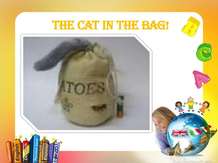 The cat in the bag!