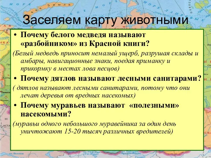 Заселяем карту животными Почему белого медведя называют «разбойником» из Красной книги?