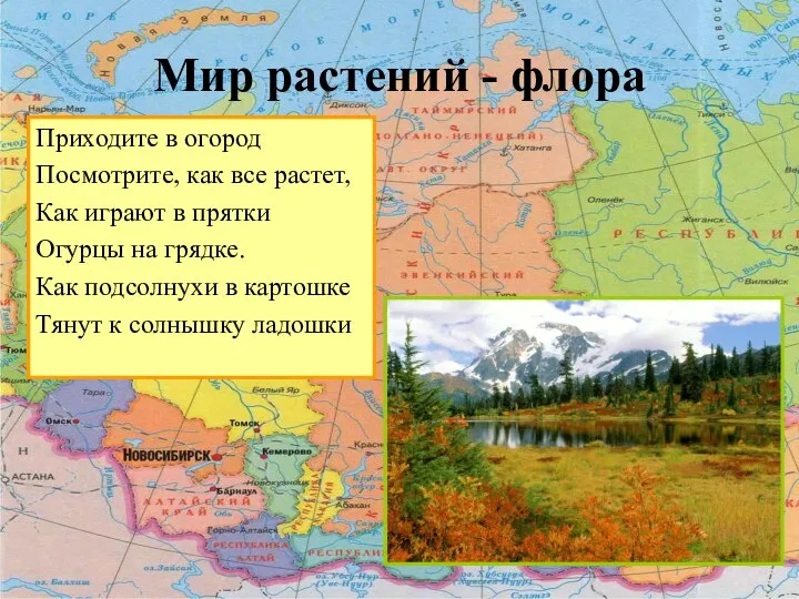 Мир растений - флора Приходите в огород Посмотрите, как все растет,