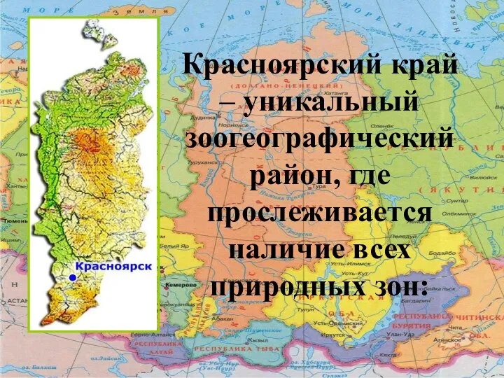 Красноярский край – уникальный зоогеографический район, где прослеживается наличие всех природных зон: