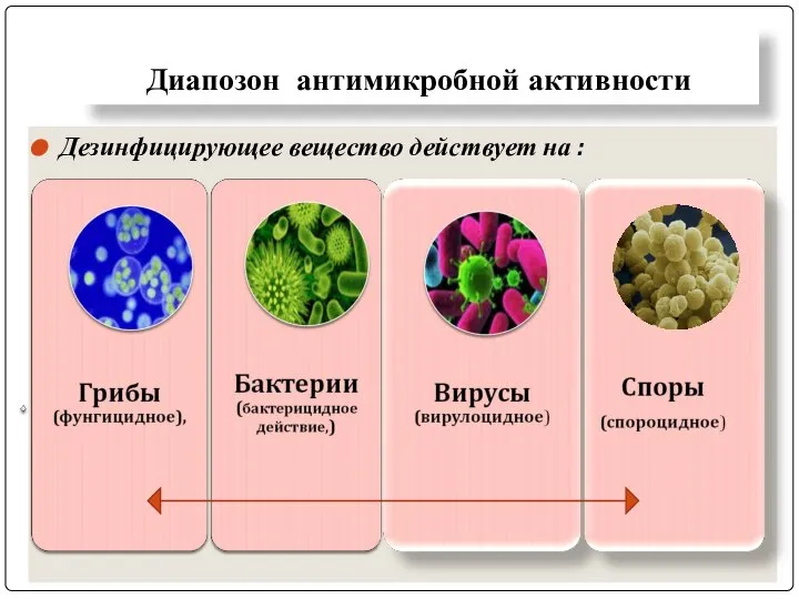 Диапозон антимикробной активности Дезинфицирующее вещество действует на :