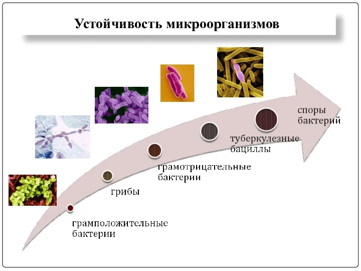 Устойчивость микроорганизмов