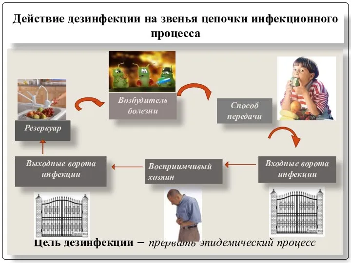 Цель дезинфекции – прервать эпидемический процесс Действие дезинфекции на звенья цепочки