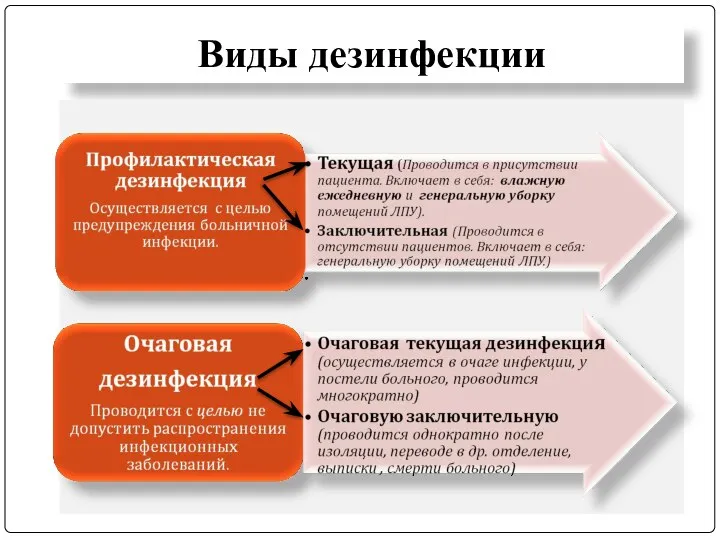 Виды дезинфекции