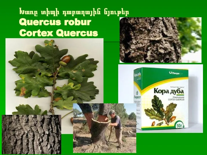 Խառը տիպի դաբաղային նյութեր Quercus robur Cortex Quercus