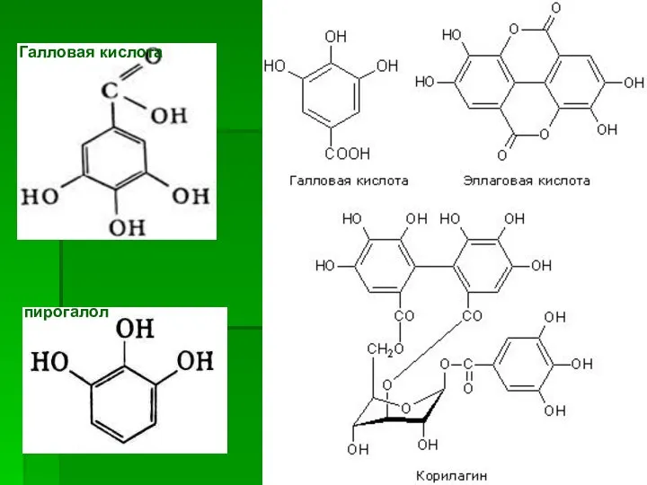 Галловая кислота пирогалол