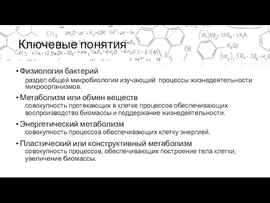 Ключевые понятия Физиология бактерий раздел общей микробиологии изучающий процессы жизнедеятельности микроорганизмов.