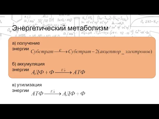 Энергетический метаболизм а) получение энергии б) аккумуляция энергии в) утилизация энергии