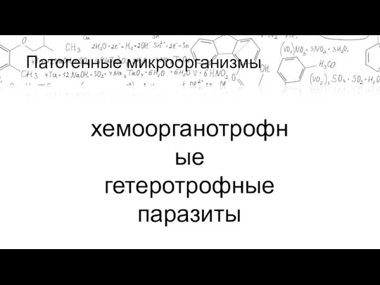 Патогенные микроорганизмы хемоорганотрофные гетеротрофные паразиты