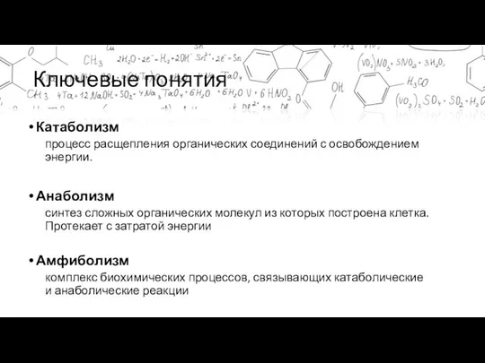 Ключевые понятия Катаболизм процесс расщепления органических соединений с освобождением энергии. Анаболизм