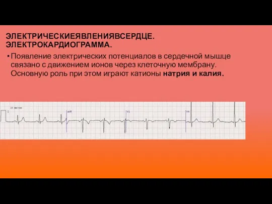 ЭЛЕКТРИЧЕСКИЕЯВЛЕНИЯВСЕРДЦЕ. ЭЛЕКТРОКАРДИОГРАММА. Появление электрических потенциалов в сердечной мышце связано с движением