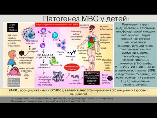 Патогенез МВС у детей: https://www.mdpi.com/children/children-07-00069/article_deploy/html/images/children-07-00069-g002.png Методические рекомендации по Ковид-19 у детей