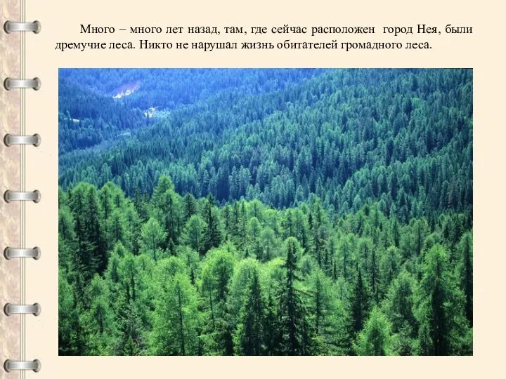 Много – много лет назад, там, где сейчас расположен город Нея,