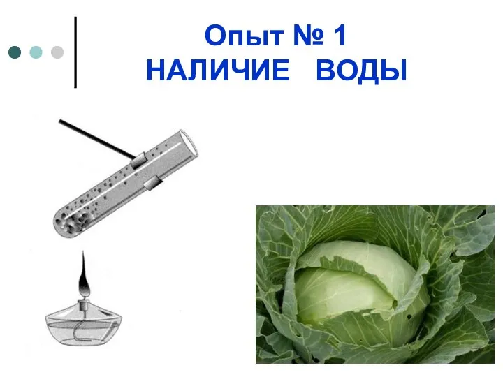 Опыт № 1 НАЛИЧИЕ ВОДЫ