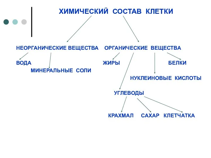 ХИМИЧЕСКИЙ СОСТАВ КЛЕТКИ НЕОРГАНИЧЕСКИЕ ВЕЩЕСТВА ОРГАНИЧЕСКИЕ ВЕЩЕСТВА ВОДА ЖИРЫ БЕЛКИ МИНЕРАЛЬНЫЕ