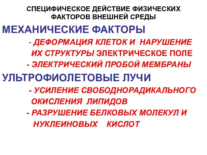 СПЕЦИФИЧЕСКОЕ ДЕЙСТВИЕ ФИЗИЧЕСКИХ ФАКТОРОВ ВНЕШНЕЙ СРЕДЫ МЕХАНИЧЕСКИЕ ФАКТОРЫ - ДЕФОРМАЦИЯ КЛЕТОК