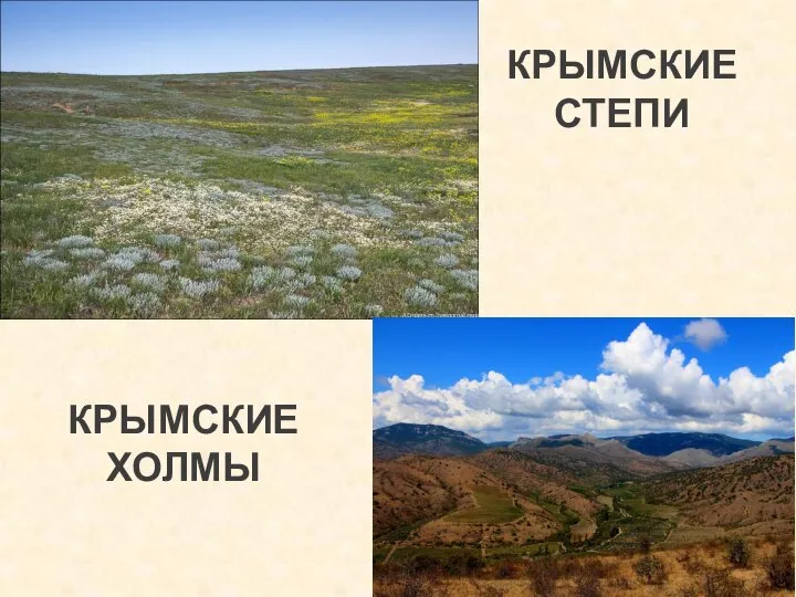 КРЫМСКИЕ СТЕПИ КРЫМСКИЕ ХОЛМЫ