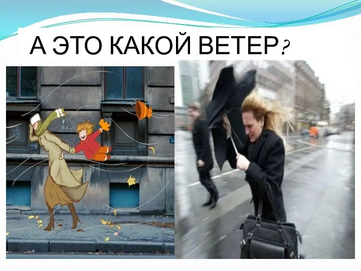 А ЭТО КАКОЙ ВЕТЕР?