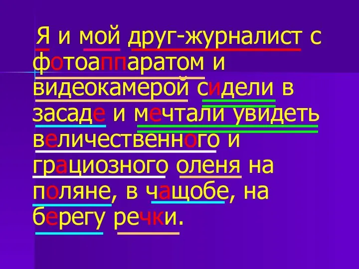 Я и мой друг-журналист с фотоаппаратом и видеокамерой сидели в засаде