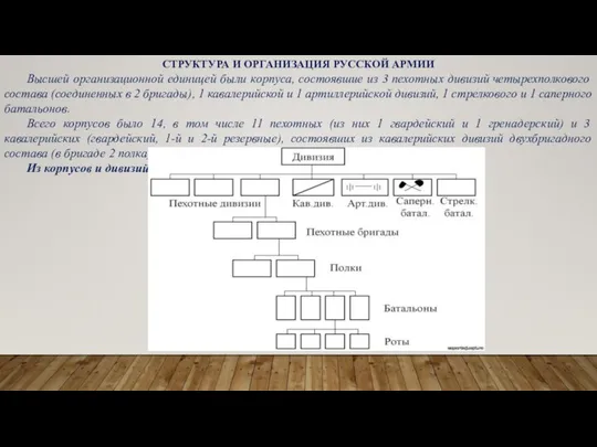 СТРУКТУРА И ОРГАНИЗАЦИЯ РУССКОЙ АРМИИ Высшей организационной единицей были корпуса, состоявшие
